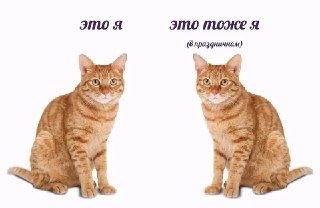 Сегодня отмечается День рыжих.Поздравляем всех причастных!