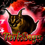 TorkSega