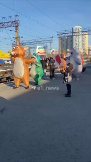 חבילה שלמה של חולדה + קרפדה אחת וסוס נצפו בתחנת הרכבת ביקטרינבורג. ההפתעה בהחלט הייתה הצלחה עבור מישהו. השא…