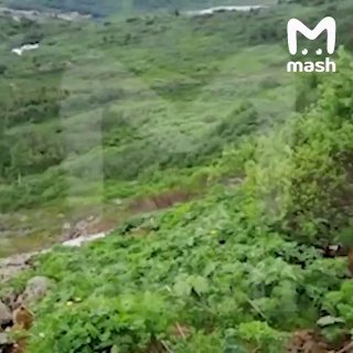 Турист нашёл фотоаппарат, который потеряли 13 лет назад в ущелье Кузбасса. И вернул повзрослевшему хозяину несколько тысяч фото из прошлого — добрее истории сегодня не будет. Героя дня зовут Антон Миронов. Парень случайно заметил в траве аппарат, когда под