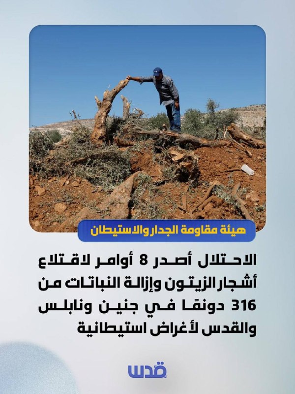 חומת רשות ההתנגדות והתנחלויות: הכיבוש הוציא 8 צווים לעקור עצי זית והוצאת צמחים מ-316 דונם בג'נין, שכם וירוש…