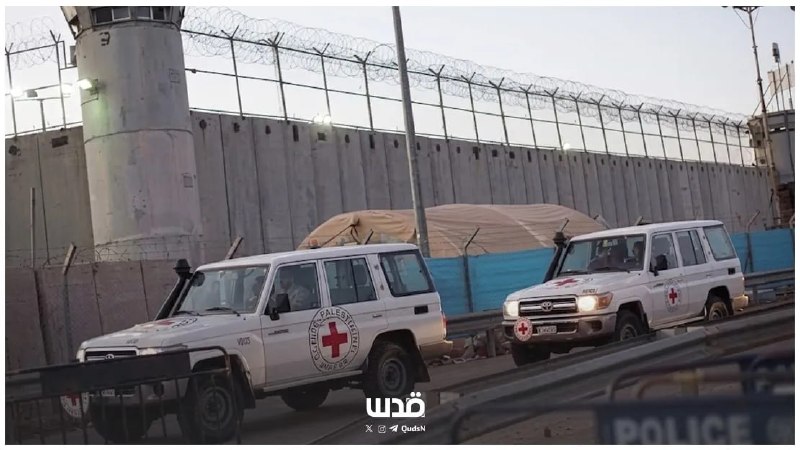 الصليب الأحمر: زيارات الأسرى لم تستأنف في سجون الاحتلال