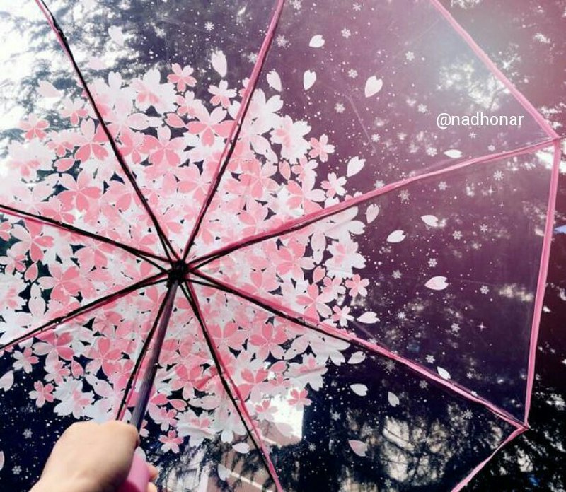 🌹پوشاک آریایی🌹: 🍃💖 ariaii 💖🍃تعريف‌ها و انتقادهايى كه از تو می‌شود را هر دو بپذير. براى رشد يك گل هم خورشيد لازم است و هم باران.🍃💖🍃@ariai