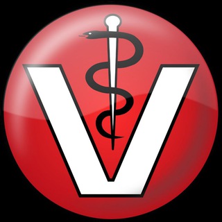 Telegram profile photo for Important files