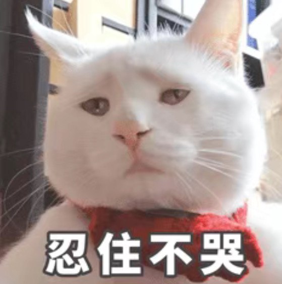 某 toB 的 AI SaaS 创始人给我讲的真实故事：认真 pitch 完甲方老板，问对方：“您还有什么问题吗？”老板：“你们大模型放在哪儿了？我看看，能拍照么?”