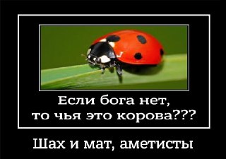 Сегодня, кстати, отмечается важный праздник — День божьих коровок.Поздравляем всех причастных!