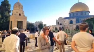 🔴ירושלים הכבושה: מאות מתנחלים מסתערים בבוקר על חצרות מסגד אל-אקצא ועורכים טקסים תלמודיים במקביל למה שמכונה…