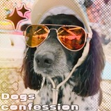[РОЗЫГРЫШ] ᝰ.ᐟ собачке confession + daily .ᐟᝰ.