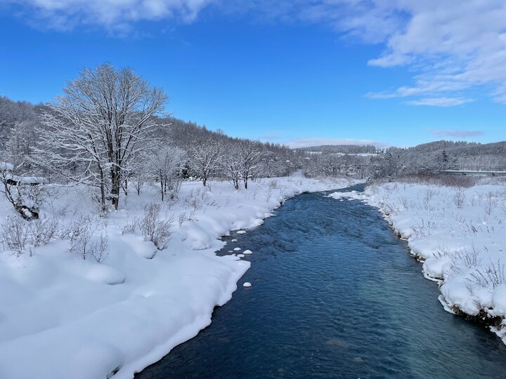 白雪紛紛何所似？未若柳絮因風起。