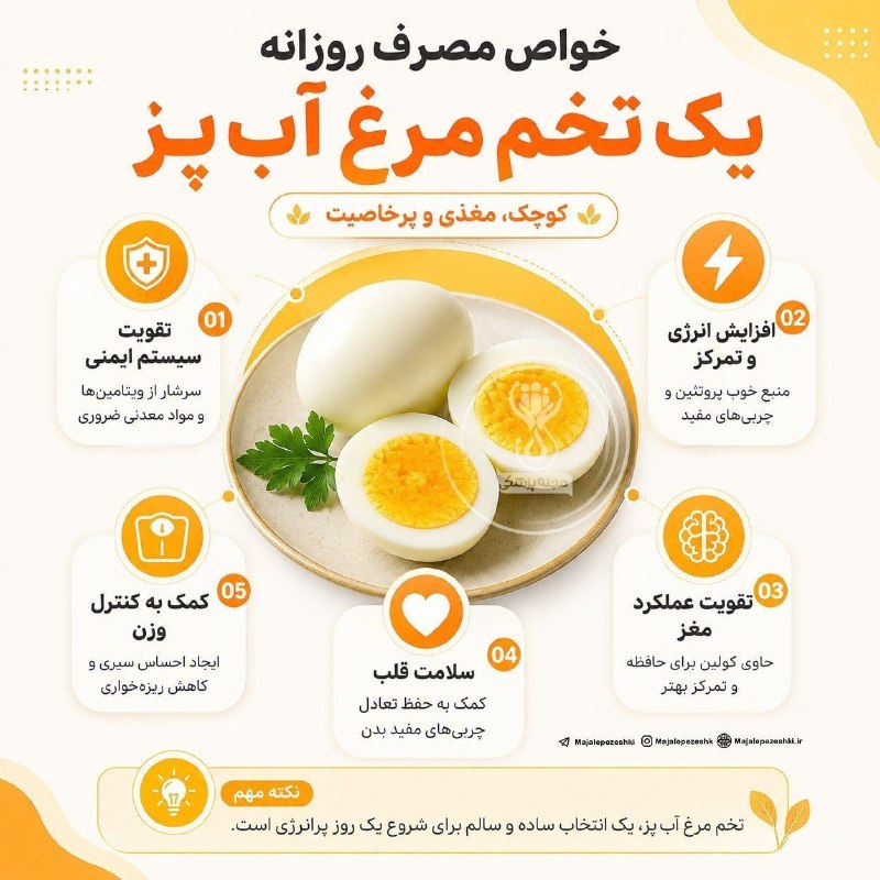شاره‌که‌م دیوانده‌ره(کانال دیواندره): یک تخم‌مرغ؛ چند خاصیت مهم! 🍳◽️تخم‌مرغ آب‌پز، یک انتخاب ساده و مغذی برای تأمین پروتئین، افزایش سیری و شروع یک روز پرانرژی