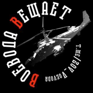 Telegram profile photo for Воевода Вещает