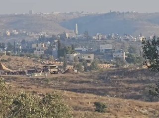 מתנחלים משחררים בעלי חיים ופרות לאדמות הכפר סאקה, ממערב לעיר דורה, דרומית לחברון.
