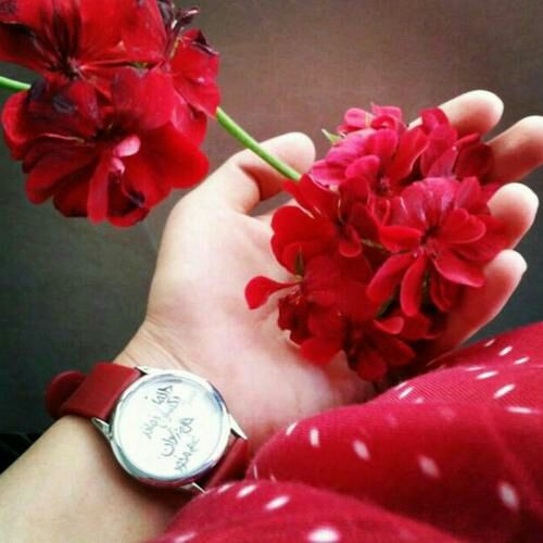 ❤️ حریم عشق ❤: 🌹خیرمقدم 🌹ب دوستانی ک تازه ب کانال پیوستند. قدیمی ها عشقید 😘جدیدا خوش امدید ❤️مقدمتون گلباران 🌹💫متشکریم ازانتخابتون⚘⚘♥️🌼