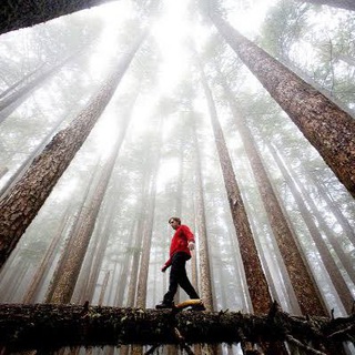 Daily channels international geographic Telegram Group Link