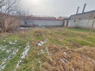 BEKTEMIR (Koka Kola, Devyatka)! Arzon narx!