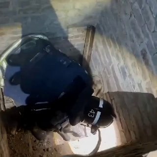 שלום, כלב" כוחות ההצלה חילצו כלב מבאר בינאקיבו. הזנב שוטט בחצר של פנסיונר ואיכשהו נפל לאדמה. האישה לא הצליח…