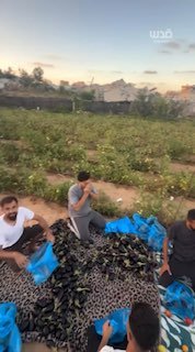 רשת חדשות ירושלים