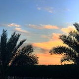 زاپاس جنوبی🌴