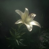 ౨ৎ‧₊再生ᡣ𐭩