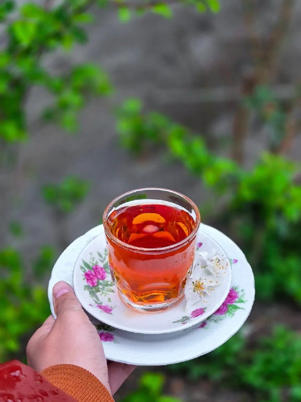آرامش با 💐|RangiRangi: شاگرد:چگونه خودم را بابت اشتباهاتم ببخشم؟شمس:تو آدمی را محاکمه میکنی که دیگر وجود ندارد. او تاوان داد تا تو امروز آگاه ب