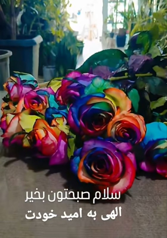 دل نوشته های زیبا..: و انگار که بودنت بهانه ای است، برای دل بستن به این زندگی.. #صبح بخیر بهانه زندگی❤️🔥️https://t.me/delneveshteyekhasm