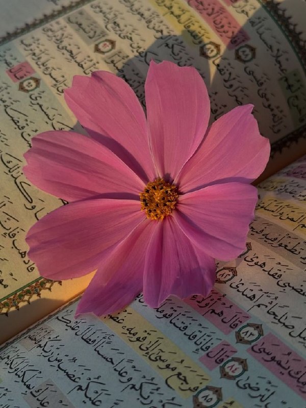 فال قهوه,تاروت,آینه بینی,دعا☕: وَمَا كَانَ عَطَآءُ رَبِّكَ مَحْظُورًا(اسراء۲۱)و برای عطای پروردگارت حد و مرزی نیست.من دست‌های مهربان خدا را احساس میکن