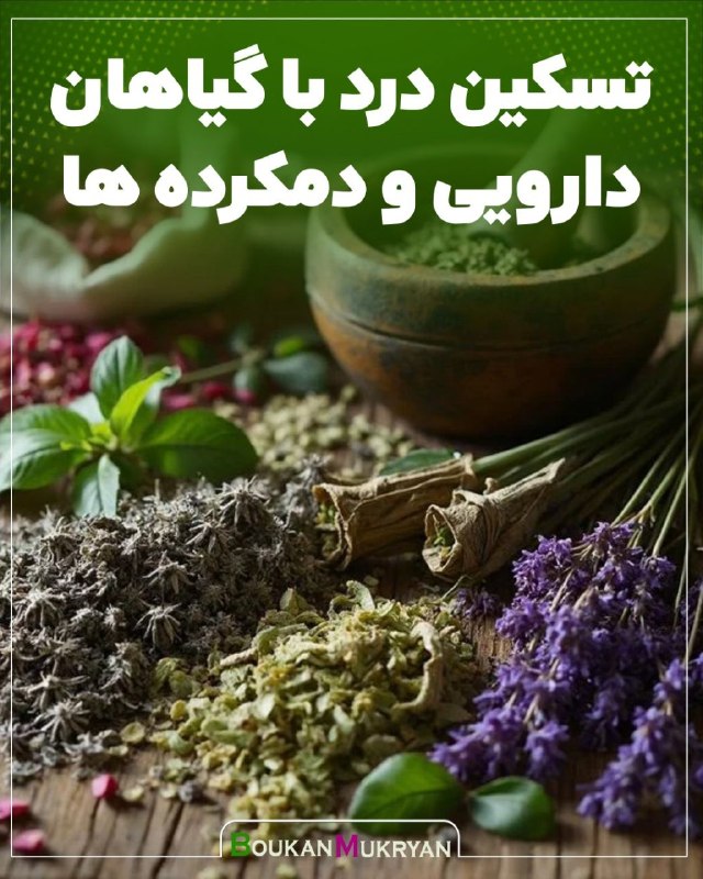 پایگاه خبری بوکان موکریان: #پزشکی🔴 تسکین درد با گیاهان دارویی و دمکرده ها ▫️آویشن شیرازی▫️دارچین▫️زنجبیل▫️پونه کوهیجایگزین های فوق العاده ای برای ا