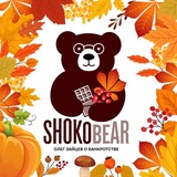 Shokobear (Олег Зайцев о банкротстве)