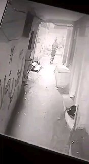 כוחות הכיבוש פותחים במסע מעצרים במהלך הסתערות על מחנה בלאטה בשכם