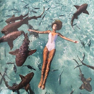 Music Video Telegram Group Link