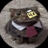 щп великой чешки
