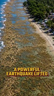 Can you believe this powerful earthquake lifted part of the Philippines out of the ocean?Did you know? 🎓