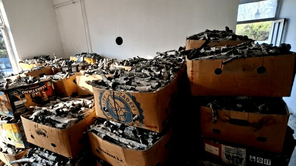 پیام ما آنلاین: 🔶کشف و توقیف ۵ تن زغال جنگلی غیرمجاز در لاکان رشت🔷مأموران یگان حفاظت منابع طبیعی استان گیلان در راستای مقابله با قاچاق ف