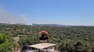 אור רביד