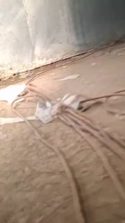 ליעד ברעם הדליק נר לזכר בנו בנחל עוז, אלף ימים ל-7 באוקטובר