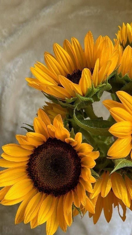 دیالوگ های ماندگار: آرامش سهم دقایق زندگیتون🌻@persistent_dialogs