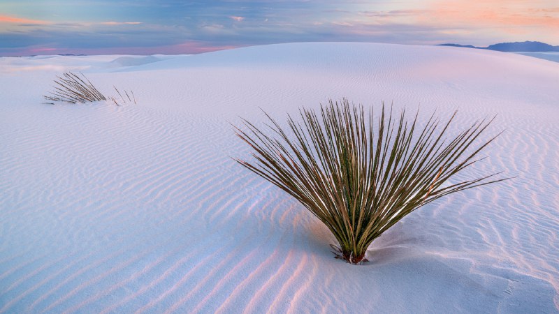 A desert in disguiseWhite Sands National Park, New Mexico (© Francesco Carucci/Getty Images)