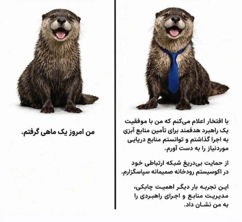 هستی نگار|از کنکور تا فیزیوتراپی: دلیل اینکه مجازی رو حذف کردم: