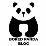 Bored Panda | Jasurbek Bazarbaeff