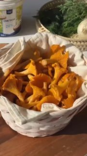 Лисички приехали Что готовим на ужин ? Подборка моих любимых рецептов с лисичками. Нежные, ароматные, с секретным ингредиентом спойлер это сливки и... - изображение 3 - telegram, view, лисички