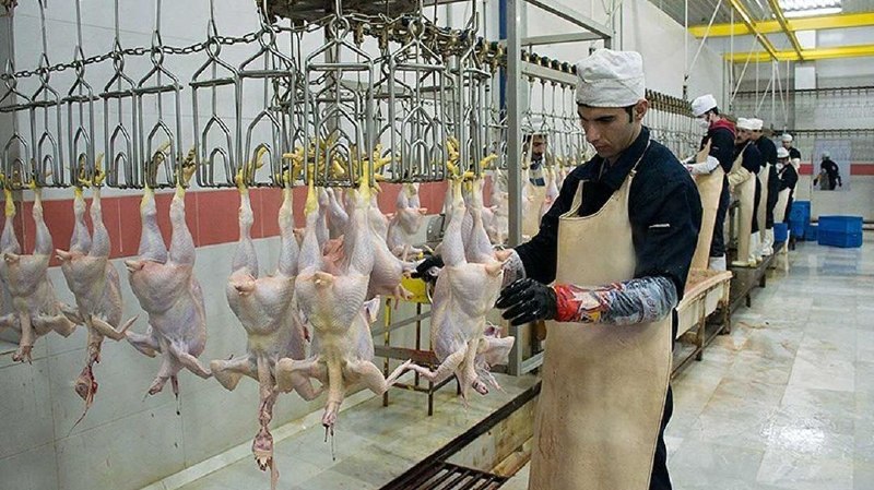 اخبار خراسان شمالی - خبرگزاری فارس: کشتارگاه‌های خراسان‌شمالی زیر ذره‌بین هستند🔹️ معاون هماهنگی امور عمرانی استاندار خراسان شمالی: نظارت جدی بر تمامی کشتارگ
