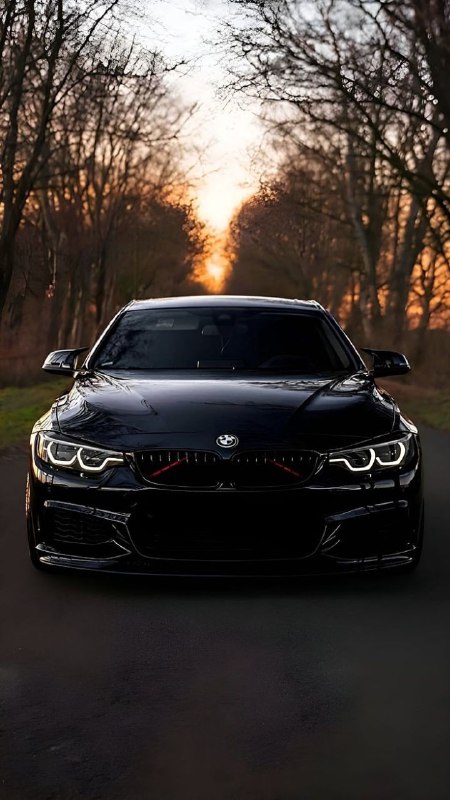 https://t.me/bmw_mpower_club