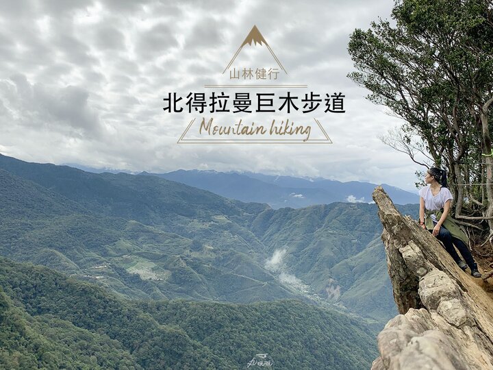 北得拉曼巨木步道 賞巨木、山毛櫸