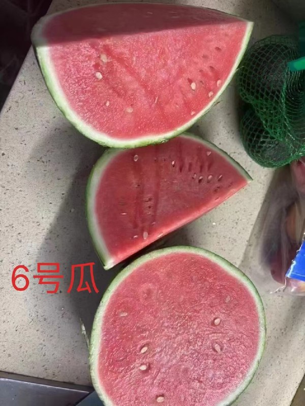 GPT4o杀手应用GPT4o杀手应用