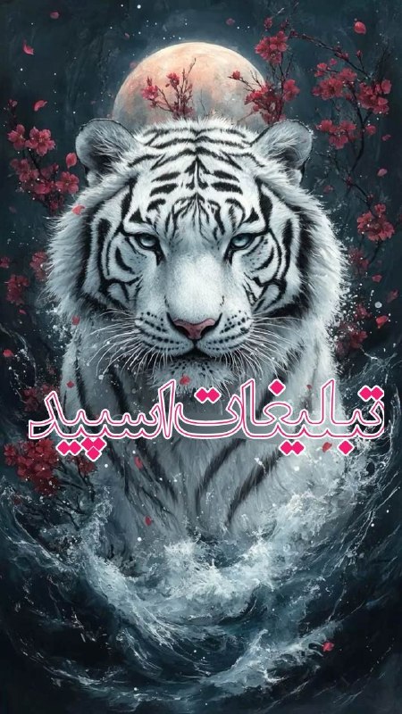گروه دوستیابی دخترونه گرگان: ❶﹚ نام : ♥️وَِسَِــَِوَِسَِــَِهَِ شَِـَِیَِرَِین♥️❷﹚ نو؏ تبلیغات : #telegram❸﹚ توضیحات :• ادمیناش باکلاس 👑•⚜️ رفقاش خاص