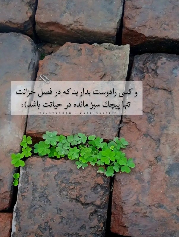 🎆🎀 فتونایس 🎀🎆: و کسی را دوست بدارید که....#عکس_نوشته 🌼🍃@photoniceee✿࿐༅࿇༅࿐✿