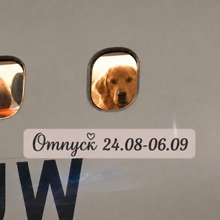 Логотип Дина Карамышева