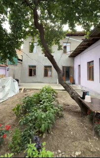 Такачи 3.3-сот Она бола болница