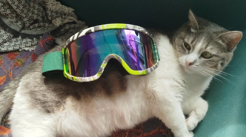 Продам ботинки от сноуборда. 39 размер. Цена 170 лари + очки в подарок