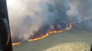 🎦 תקשורת אירופאית: יותר מ-200,000 אנשים עזבו את בתיהם לאחר שריפות חסרות תקדים בצרפת ובספרד.